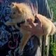 Pomeranian boy