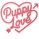 Please help Rescued Corgi mix puppies – in Ohio